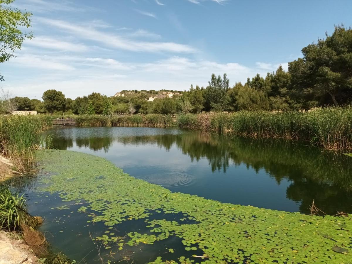 Eco Resort Costa Blanca Dolores  Exterior photo